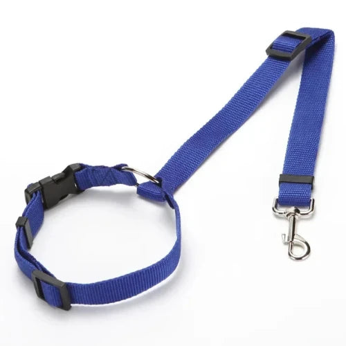 Accessoire pour Chihuahua - Ceinture de voiture bleue avec attache – Sécurisée et ajustable pour attacher votre petit chien ou chat