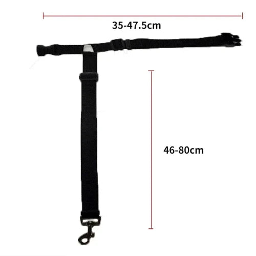 Accessoire pour Chihuahua - Ceinture de voiture noire avec attache – Sécurisée pour attacher votre petit chien ou chat - mesures