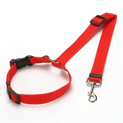 Accessoire pour Chihuahua - Ceinture de voiture rouge avec attache – Sécurisée et ajustable pour attacher votre petit chien ou chat