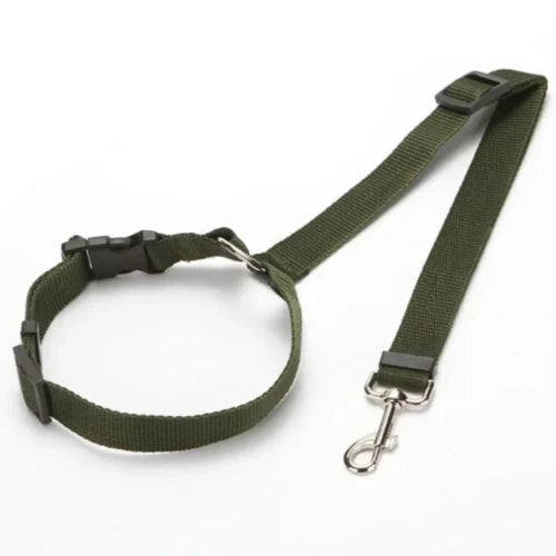 Accessoire pour Chihuahua - Ceinture de voiture verte avec attache – Sécurisée et ajustable pour attacher votre petit chien ou chat