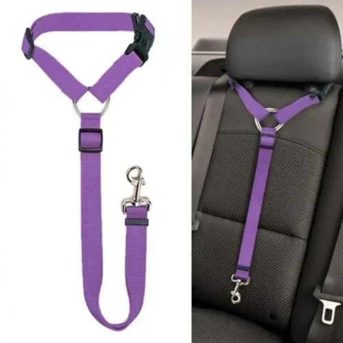 Accessoire pour Chihuahua - Ceinture de voiture violette avec attache – Sécurisée et ajustable pour attacher votre petit chien ou chat