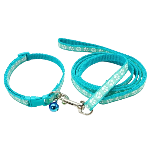Collier pour Chihuahua bleu ciel avec laisse. Elégant, pour offrir confort et sécurité à votre petit chien ou chat