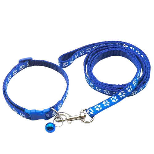 Collier pour Chihuahua bleu foncé avec laisse. Elégant, pour offrir confort et sécurité à votre petit chien ou chat