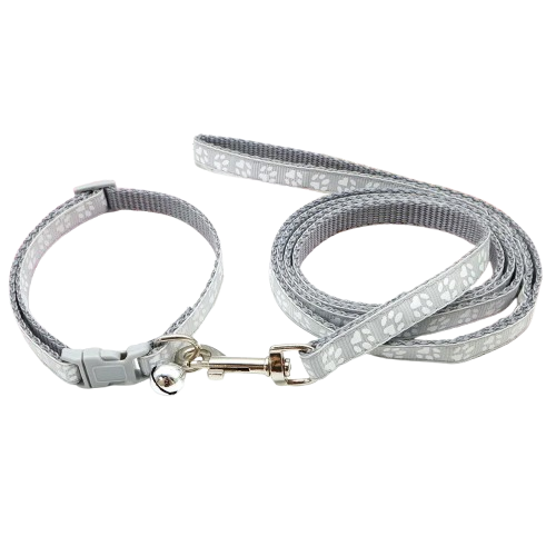 Collier pour Chihuahua gris avec laisse. Elégant, pour offrir confort et sécurité à votre petit chien ou chat