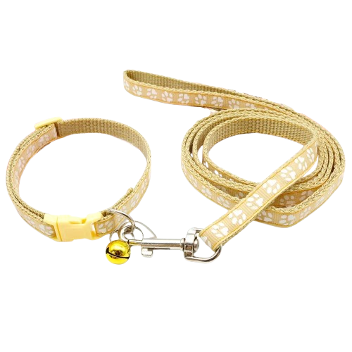 Collier pour Chihuahua jaune beige avec laisse. Elégant, pour offrir confort et sécurité à votre petit chien ou chat