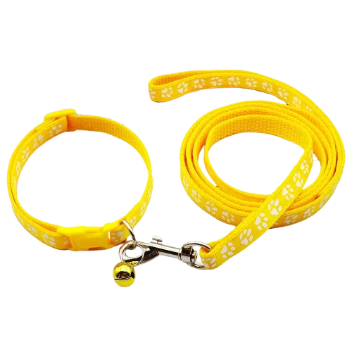 Collier pour Chihuahua jaune flashy avec laisse. Elégant, pour offrir confort et sécurité à votre petit chien ou chat