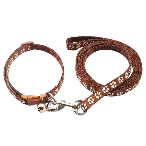 Collier pour Chihuahua marron avec laisse. Elégant, pour offrir confort et sécurité à votre petit chien ou chat