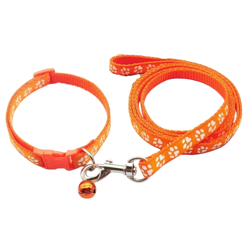 Collier pour Chihuahua orange avec laisse. Elégant, pour offrir confort et sécurité à votre petit chien ou chat