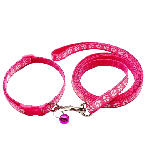 Collier pour Chihuahua rose avec laisse. Elégant, pour offrir confort et sécurité à votre petit chien ou chat