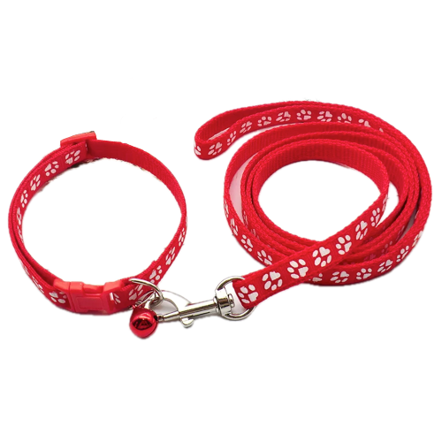 Collier pour Chihuahua rouge avec laisse. Elégant, pour offrir confort et sécurité à votre petit chien ou chat