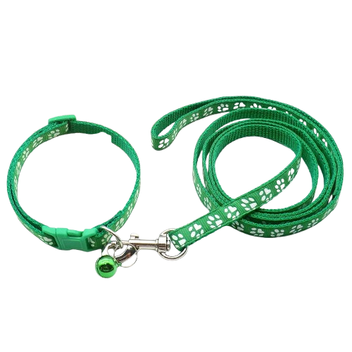 Collier pour Chihuahua vert foncé avec laisse. Elégant, pour offrir confort et sécurité à votre petit chien ou chat