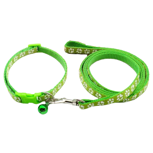 Collier pour Chihuahua vert avec laisse. Elégant, pour offrir confort et sécurité à votre petit chien ou chat