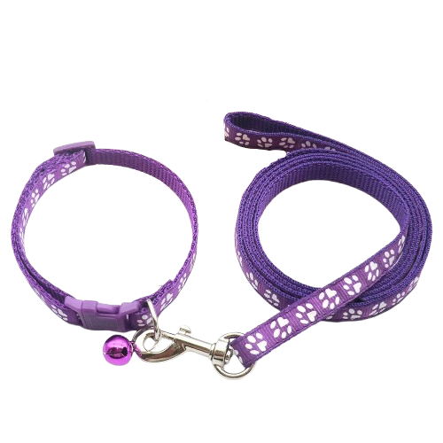 Collier pour Chihuahua violet foncé avec laisse. Elégant, pour offrir confort et sécurité à votre petit chien ou chat