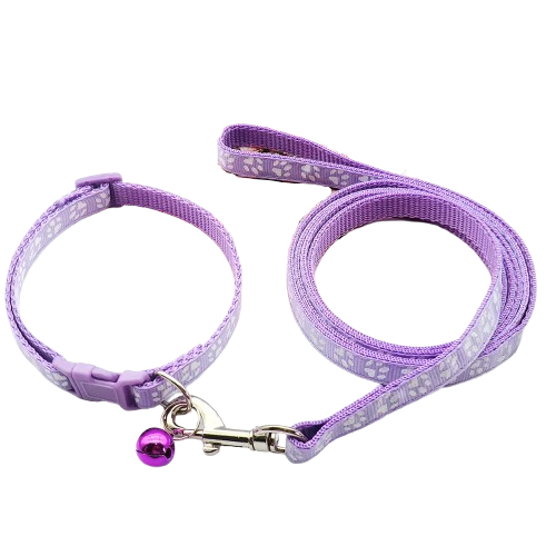 Collier pour Chihuahua violet avec laisse. Elégant, pour offrir confort et sécurité à votre petit chien ou chat