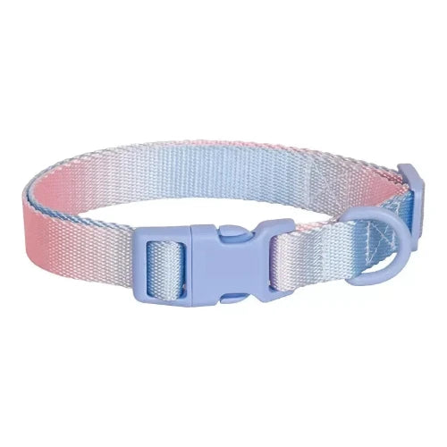 Collier pour Chihuahua en tissu coloré dégradé avec attache. Tendance, pour offrir confort et sécurité à votre petit chien ou chat