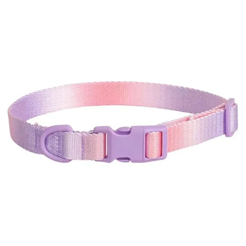 Collier pour Chihuahua en tissu rose et violet avec attache. Tendance, pour offrir confort et sécurité à votre petit chien ou chat