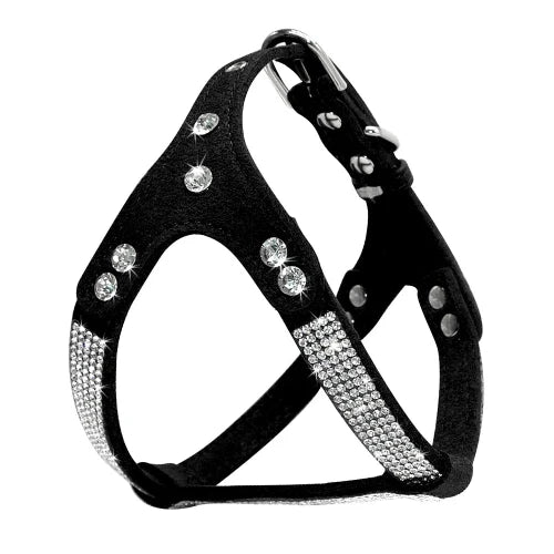 Collier pour Chihuahua : Harnais noir et paillettes. Tendance, pour offrir confort et sécurité à votre petit chien ou chat