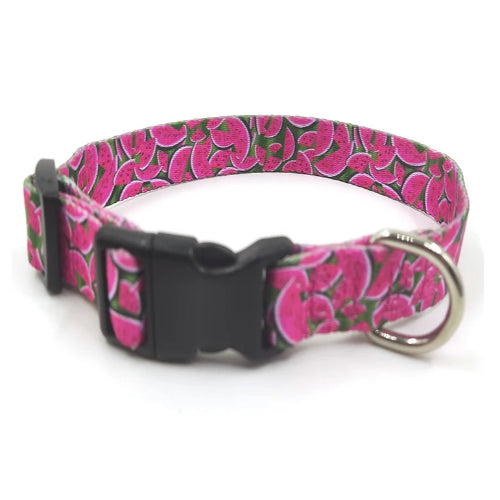 Collier pour chiens aux motifs Pastèques. Vendu avec sa Laisse assortie. Confortable, convient aux petits chiens, chihuahuas, ou aux chats. Vendu dans la boutique « Mon Petit Chihuahua »