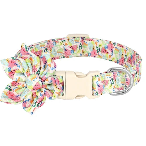 Collier pour Chihuahua en tissu coloré avec motifs fleurs. Tendance, pour offrir confort et sécurité à votre petit chien ou chat