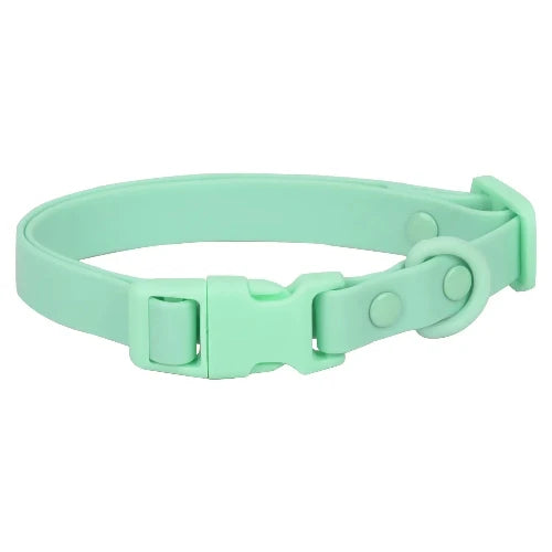 Collier pour Chihuahua en silicone vert avec attache. Résistant pour offrir confort et sécurité à votre petit chien ou chat