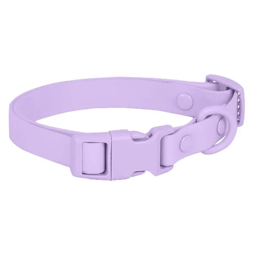 Collier pour Chihuahua en silicone violet avec attache. Résistant pour offrir confort et sécurité à votre petit chien ou chat