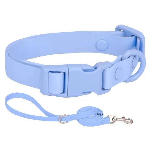 Collier pour Chihuahua en silicone bleu avec une laisse. Résistant pour offrir confort et sécurité à votre petit chien ou chat