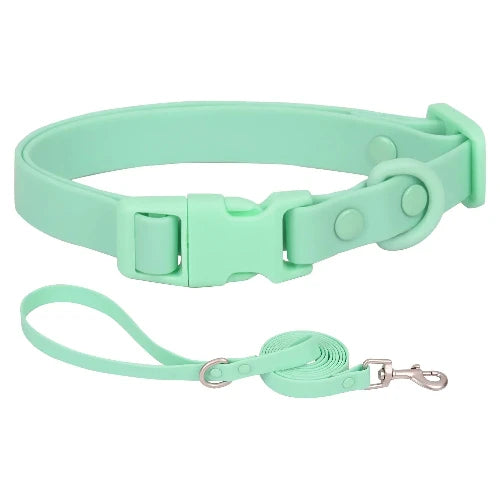 Collier pour Chihuahua en silicone vert avec une laisse. Résistant pour offrir confort et sécurité à votre petit chien ou chat