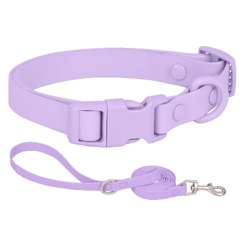 Collier pour Chihuahua en silicone violet avec une laisse. Résistant pour offrir confort et sécurité à votre petit chien ou chat