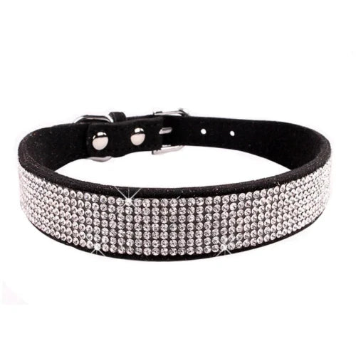 Collier pour Chihuahua en cuir noir avec strass / paillettes, pour offrir confort et sécurité à votre petit chien ou chat