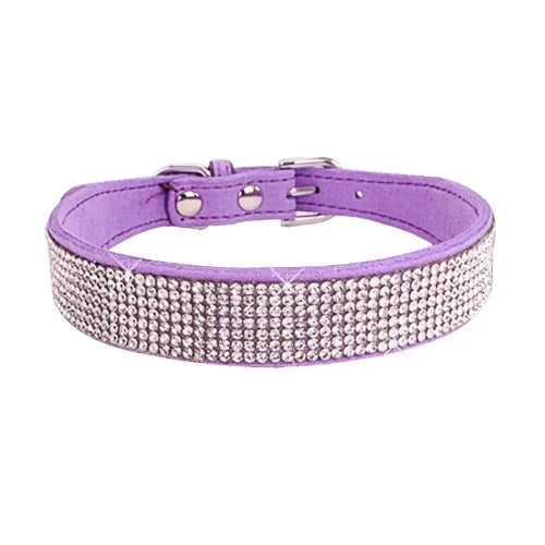 Collier pour Chihuahua en cuir violet avec strass / paillettes, pour offrir confort et sécurité à votre petit chien ou chat