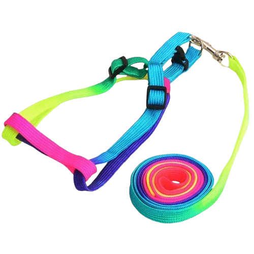 Harnais arc en ciel pour petit chien avec sa laisse assortie. Confortable, convient aux petits chiens, chihuahuas, ou aux chats.