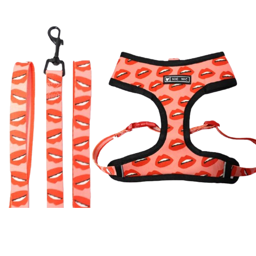 Harnais pour chiens rouge avec motifs bisous. Vendu avec sa Laisse assortie. Confortable, convient aux petits chiens, chihuahuas, ou aux chats. Vendu dans la boutique « Mon Petit Chihuahua »