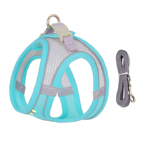 Harnais bleu et gris et une laisse pour Chihuahua – parfaits pour des promenades sécurisées avec votre petit chien ou chat