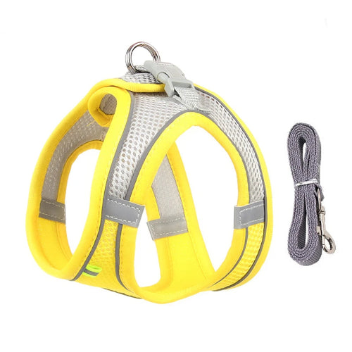 Harnais jaune et gris et une laisse pour Chihuahua – parfaits pour des promenades sécurisées avec votre petit chien ou chat