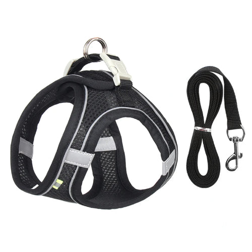 Harnais noir et gris et une laisse pour Chihuahua – parfaits pour des promenades sécurisées avec votre petit chien ou chat