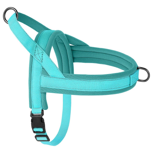 Harnais bleu cyan rรฉsistant en nylon pour chiens. Confortable, convient aux petits chiens, chihuahuas, ou aux chats. Vendu dans la boutique ยซย Mon Petit Chihuahuaย ยป