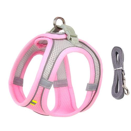 Harnais rose et gris et une laisse pour Chihuahua – parfaits pour des promenades sécurisées avec votre petit chien ou chat