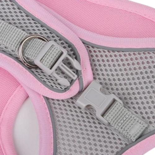 Harnais bleu et gris et une laisse pour Chihuahua – parfaits pour des promenades sécurisées avec votre petit chien ou chat - zoom