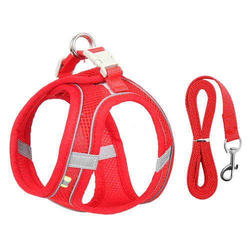 Harnais rouge et gris et une laisse pour Chihuahua – parfaits pour des promenades sécurisées avec votre petit chien ou chat