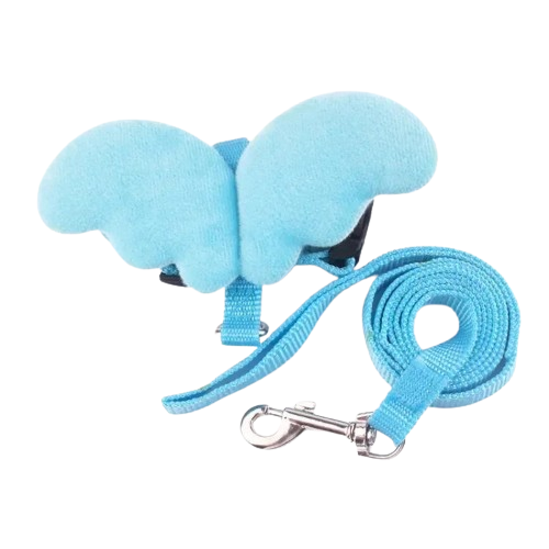 Harnais bleu ciel avec ailes d’ange en relief et sa laisse assortie pour petit chien. Réglable et confortable, convient aux petits chiens, chihuahuas, ou aux chats.