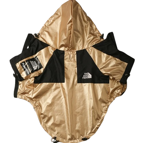 Manteau pour Chihuahua - Imperméable doré et noir – parfait pour protéger votre petit chien ou chat par temps de pluie