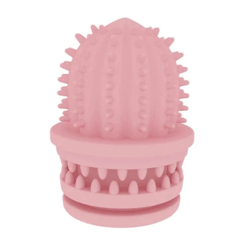 Jouet pour Chihuahua à mâcher en silicone en forme de cactus rose – Idéal pour stimuler et divertir votre petit chien ou chat