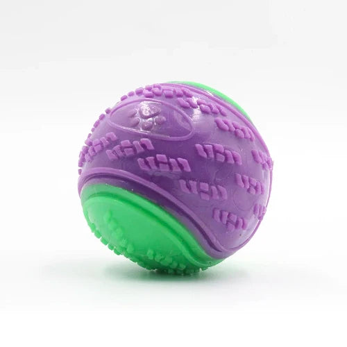 Jouet pour Chihuahua : balle en silicone vert et violet – Idéal pour stimuler et divertir votre petit chien ou chat en favorisant son activité