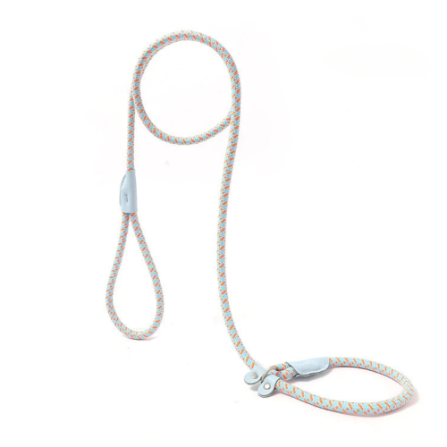 Laisse tressée bleue et orange pour chiens. A utiliser avec un collier. Pratique, convient aux petits chiens, chihuahuas, ou aux chats. Vendu dans la boutique « Mon Petit Chihuahua »