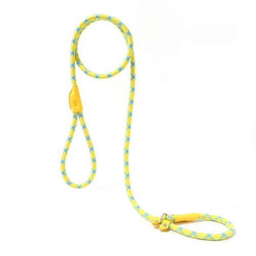Laisse tressée jaune et bleue pour chiens. A utiliser avec un collier. Pratique, convient aux petits chiens, chihuahuas, ou aux chats. Vendu dans la boutique « Mon Petit Chihuahua »