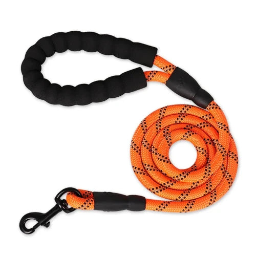 Laisse renforcée réfléchissante orange pour Chihuahua – Solide et visible, idéale pour promener votre petit chien ou chat