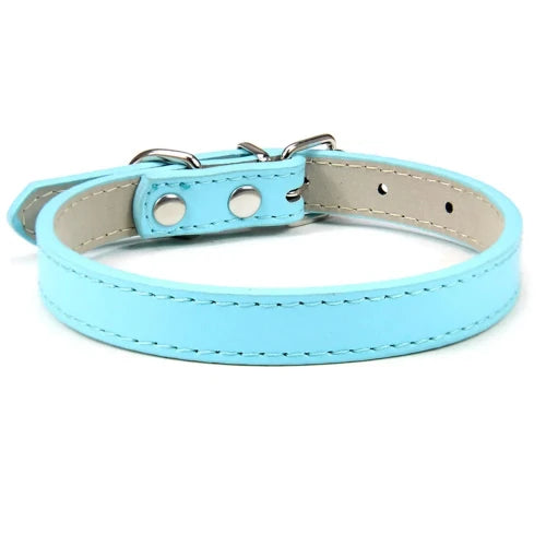 Collier pour Chihuahua en cuir uni bleu ciel. Tendance, pour offrir confort et sécurité à votre petit chien ou chat