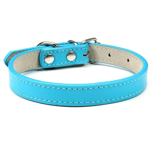 Collier pour Chihuahua en cuir uni bleu turquoise. Tendance, pour offrir confort et sécurité à votre petit chien ou chat