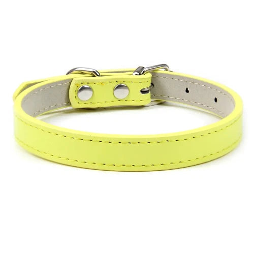 Collier pour Chihuahua en cuir uni jaune clair. Tendance, pour offrir confort et sécurité à votre petit chien ou chat