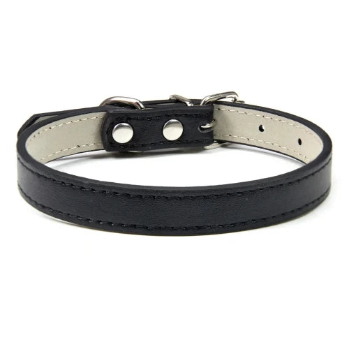 Collier pour Chihuahua en cuir uni noir. Tendance, pour offrir confort et sécurité à votre petit chien ou chat